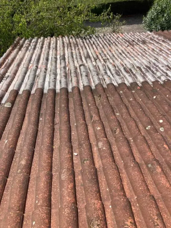 Nettoyage de toiture après infiltrations à Muret